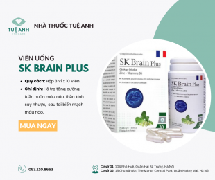 SK Brain Plus 120mg 